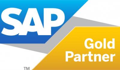SAP by VISEO