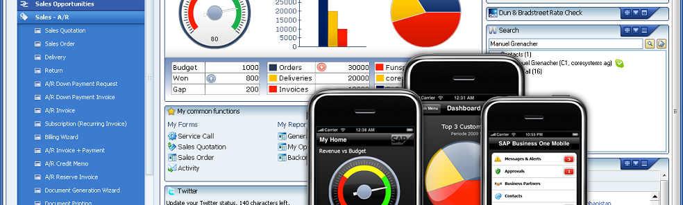SAP Business One by VISEO 
