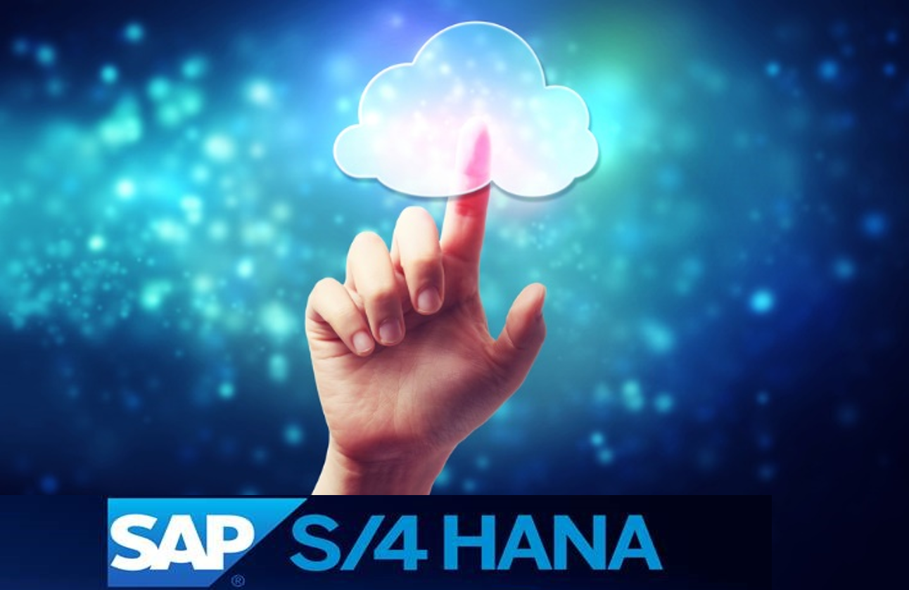 SAP S4 HANA by VISEO
