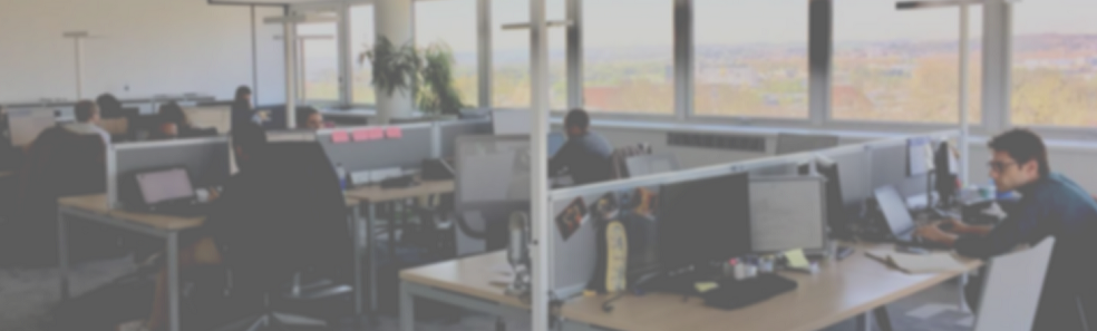 Fonctionnement et organisation du centre d’excellence BI VISEO Toulouse