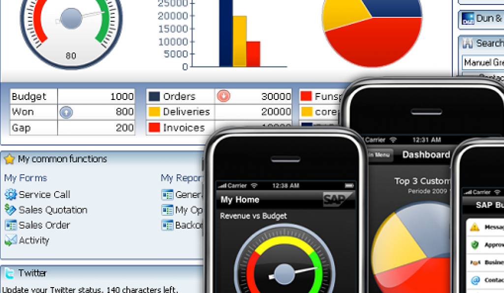 SAP Business One by VISEO 