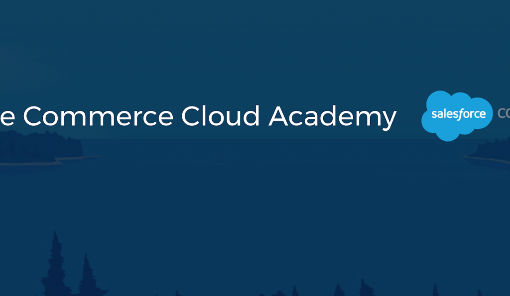 The Salesforce Commerce Cloud Academy by VISEO