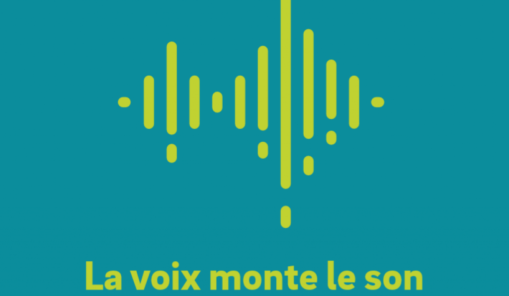 Etude Roland Berger & VISEO